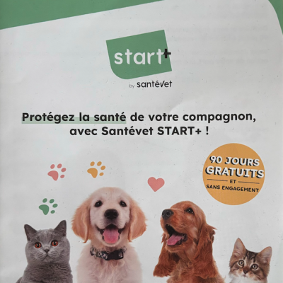 Santevet